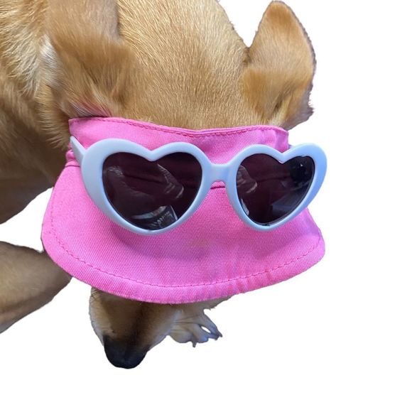 Dog Visor Hat & Sunglasses - Picture 2 of 9